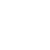 QR icon